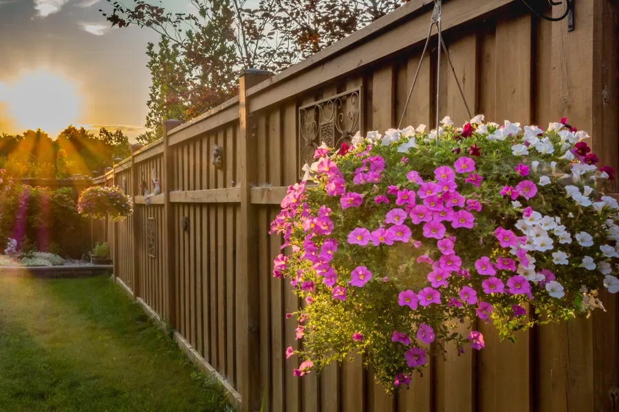 Gardening Ideas in Santa Barbara, CA Gardening Ideas in Santa Barbara, CA