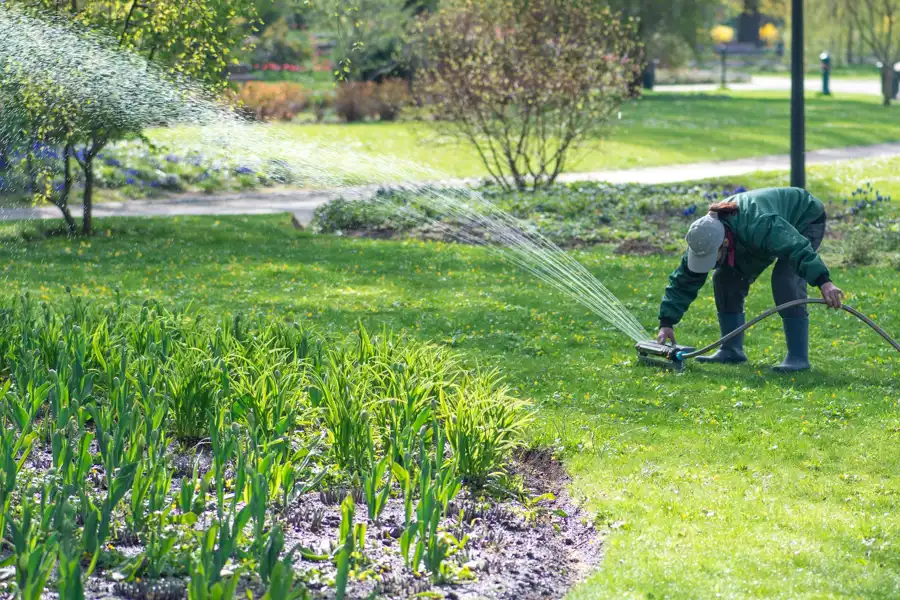 Landscape Design Ideas Santa Barbara, CA Landscape Design Ideas Santa Barbara, CA