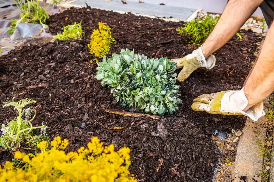 What Is Gardening Santa Barbara, CA What Is Gardening Santa Barbara, CA