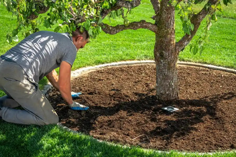 What Is Gardening in Santa Barbara, CA What Is Gardening in Santa Barbara, CA